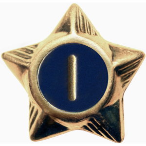 Service Star - 1 Year